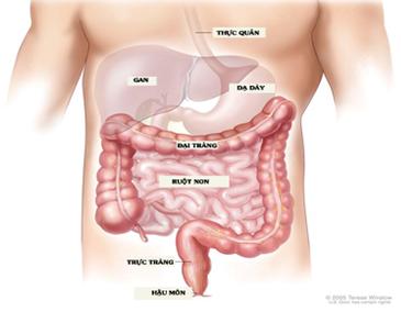 Viêm Đại Tràng và một số điều cần biết